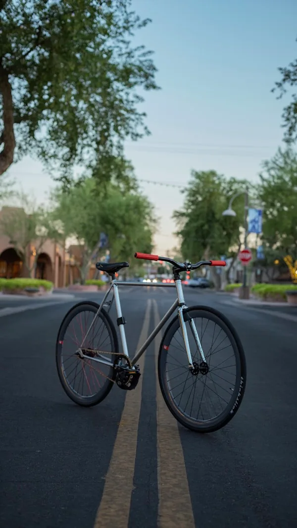 Bicycle Shipping